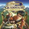 Harry Potter Quidditch World Cup (Használt)